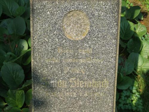 Steinbach Simon